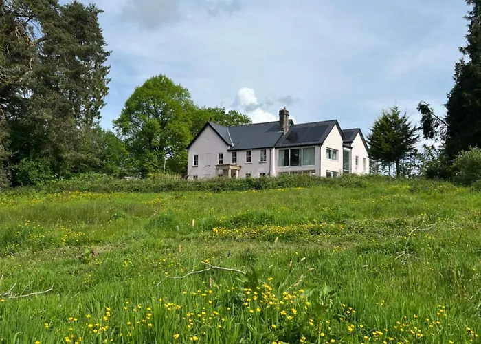 The Pink House