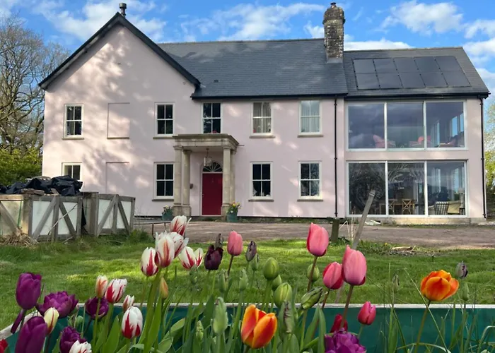 The Pink House