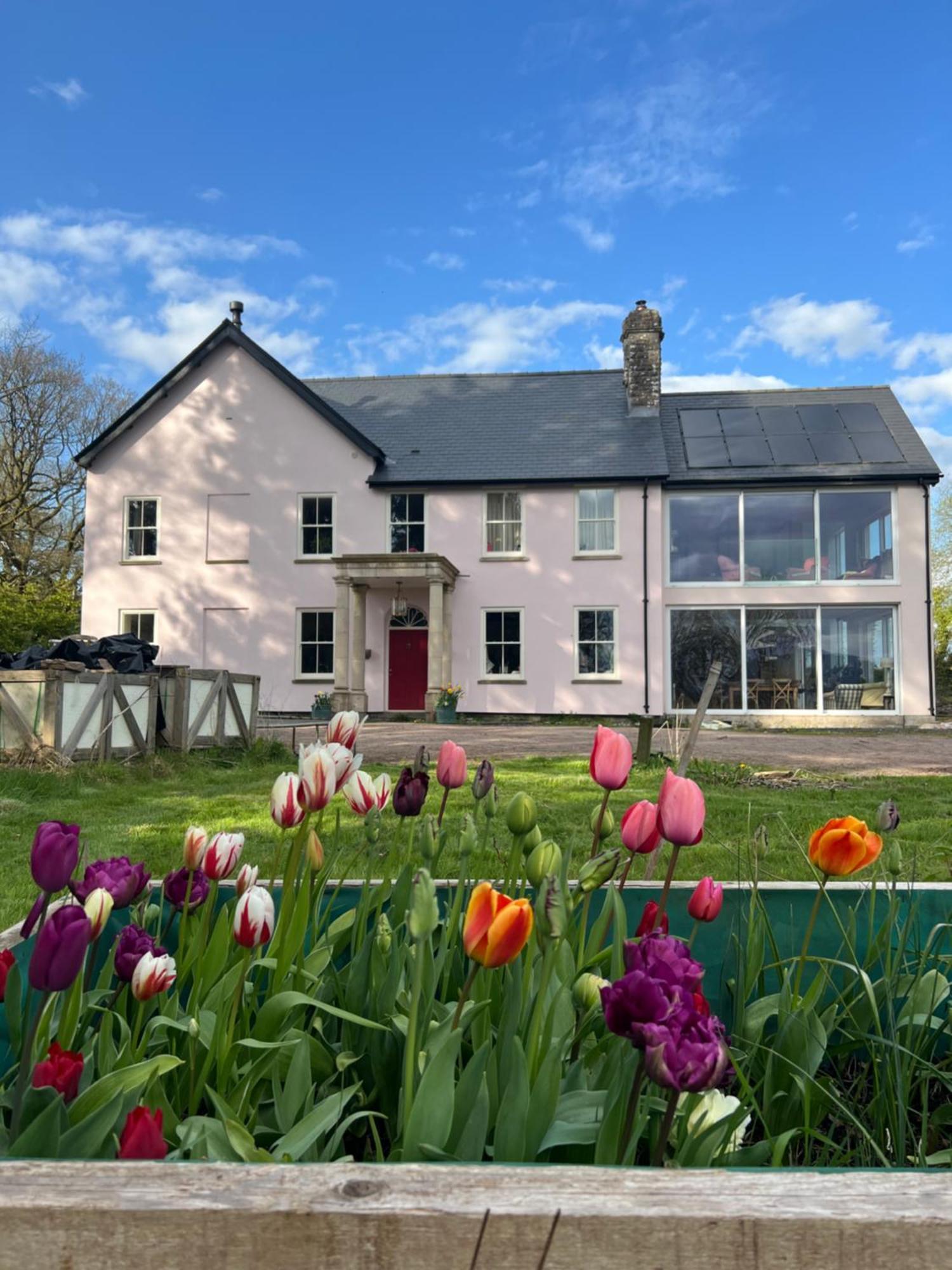 The Pink House *